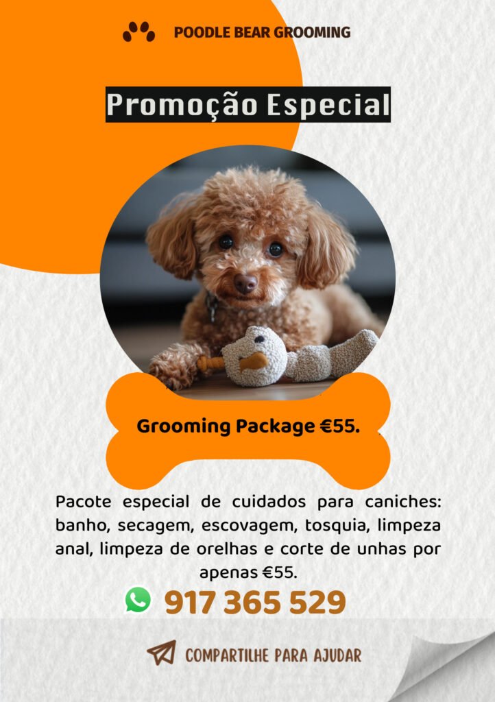 specialoffer